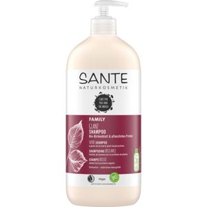 Sante Šampón Gloss brezový - 950ml 950ml