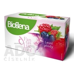 BIOGENA CB spol. s r.o. Biogena Fantastic Tea Lesné plody ovocný čaj 20x2,2 g (44 g) 20 ks